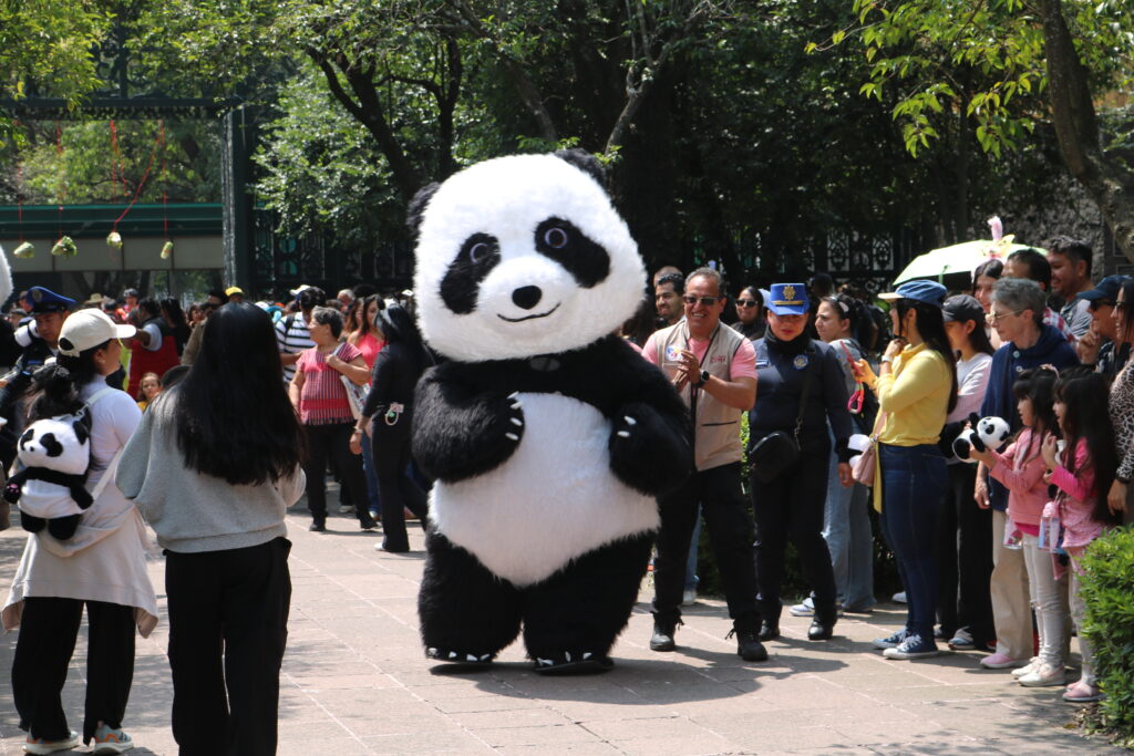 Familias se dieron cita desde las 10:00 horas para celebrar a la pandita mexicana. 