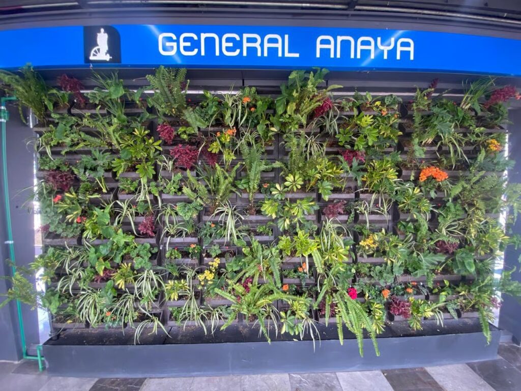 Muros verdes del Metro