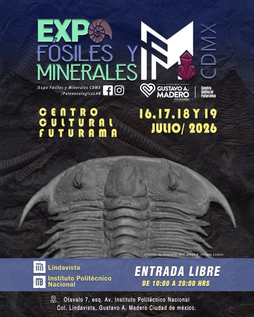 póster de la Expo Fósiles y Minerales 2026 en CDMX