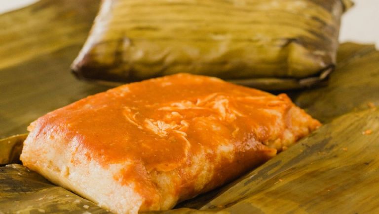 Festival Veracruz en Los Pinos