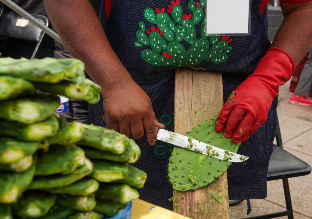 Feria del Nopal