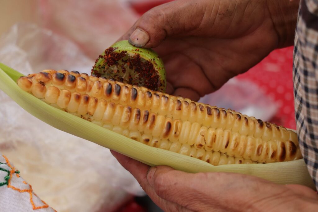 Feria Nacional del Elote 2026