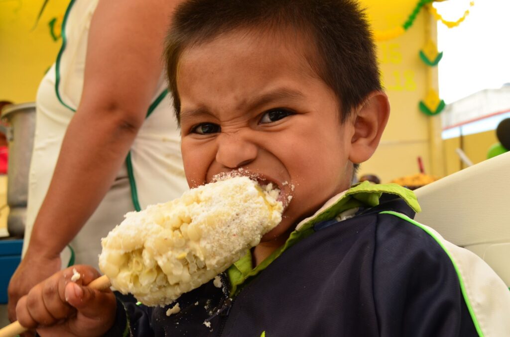 Feria Nacional del Elote 2026