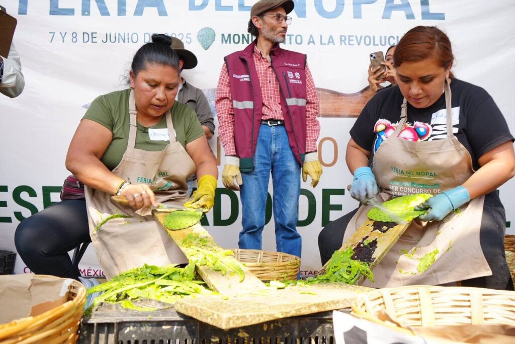 Feria el Nopal