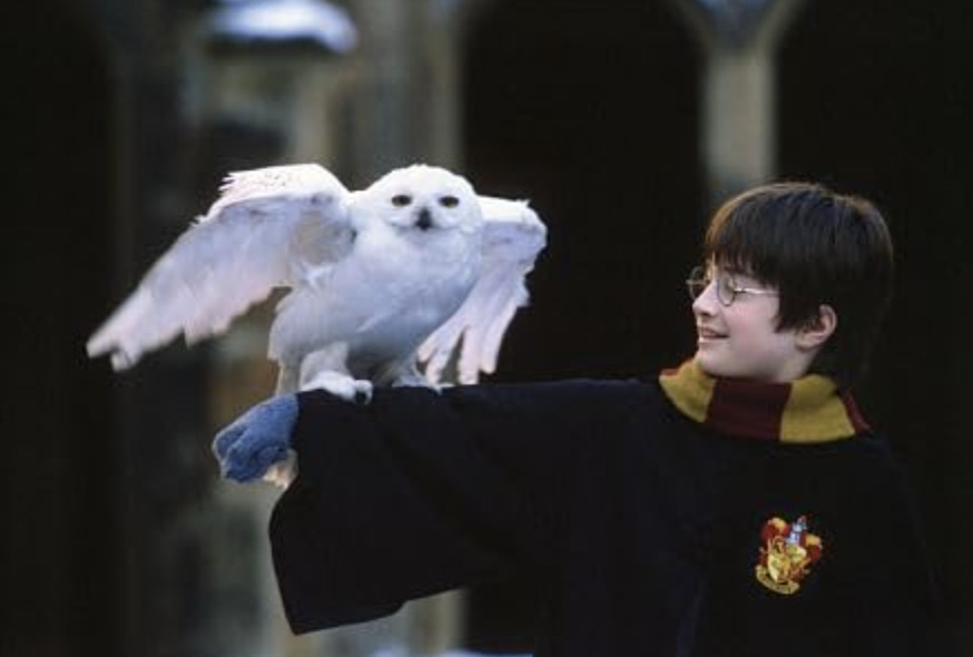 harry potter y la piedra filosofal