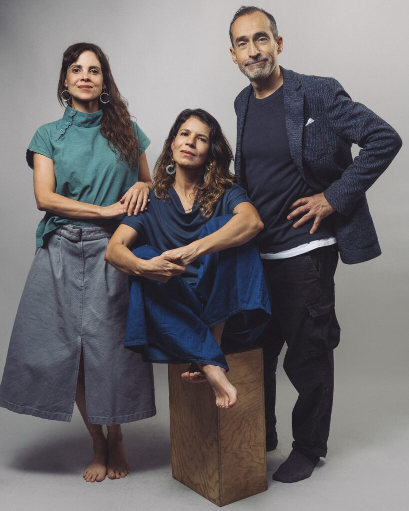 el canto de los grillos teatro