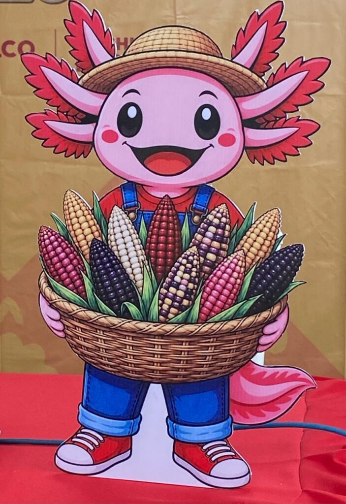 Festival Ax-Elote