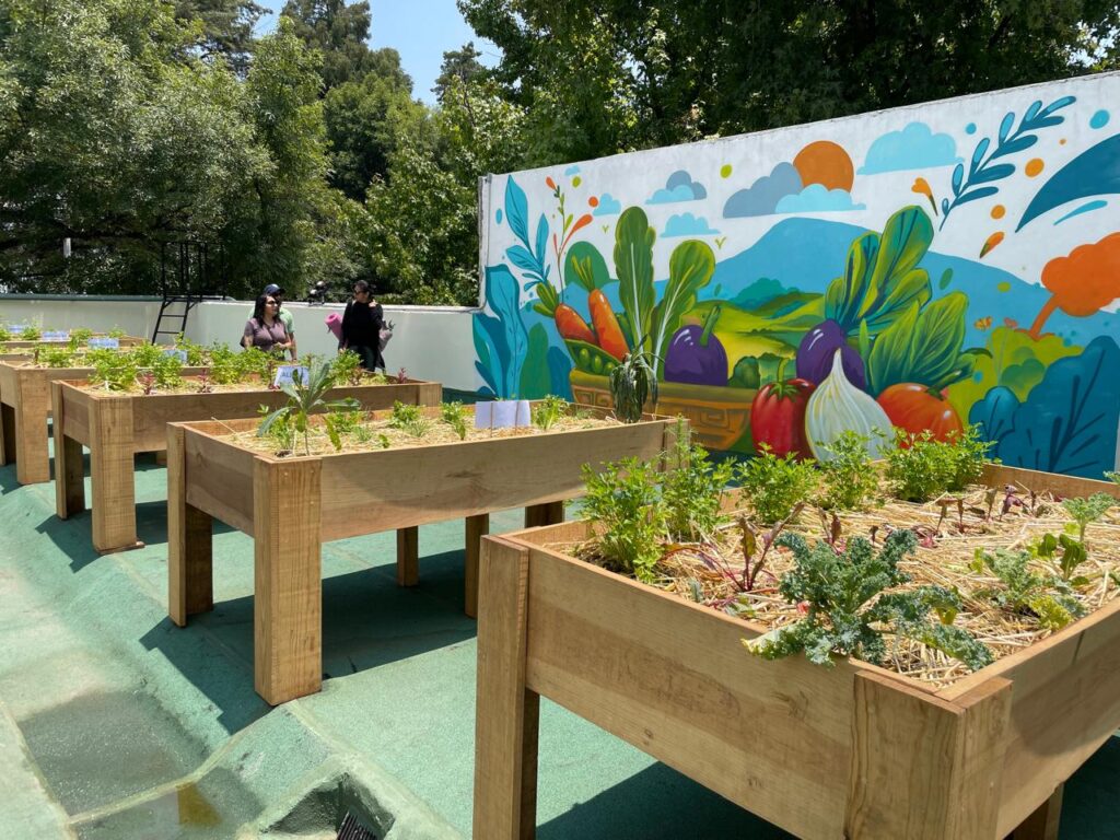 Utopía Coyoacán