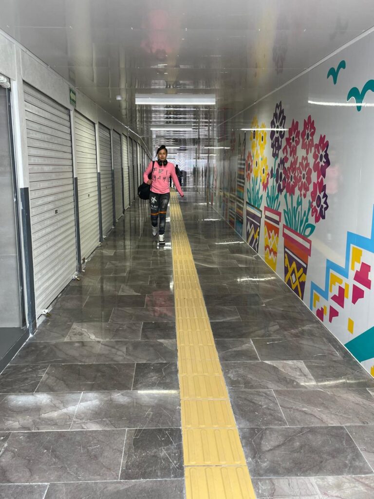 Remodelación de los Pasos a Desnivel de Tlalpan