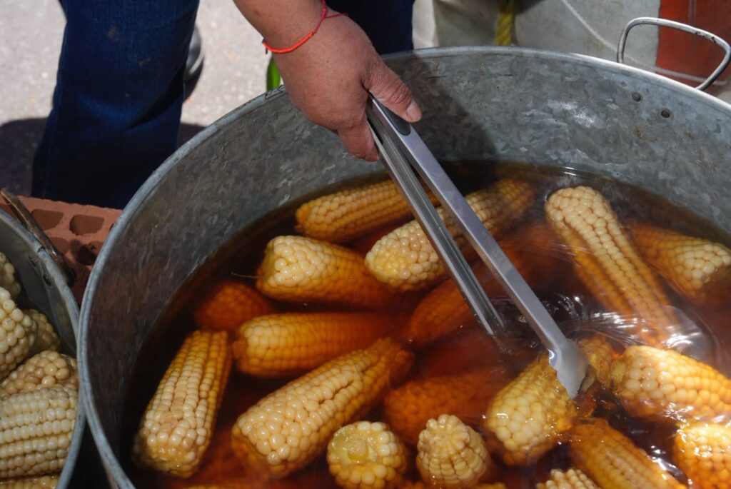 Elotes gratis en el Zócalo
