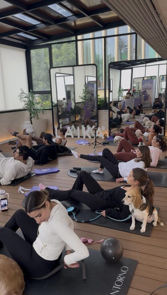 dog pilates