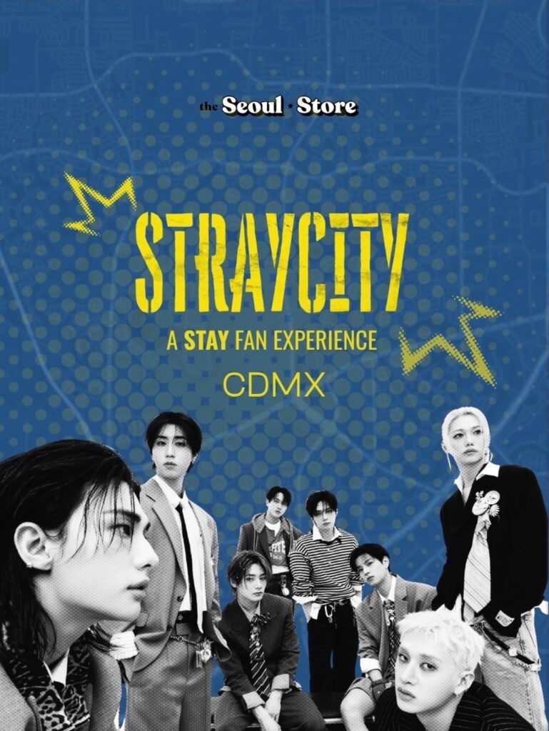 póster del evento Straycity a Stay Fan Experience