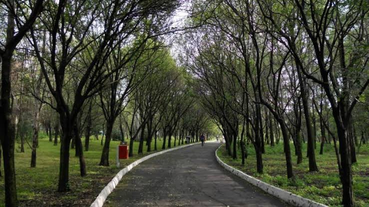 Nuevas Utopías de CDMX