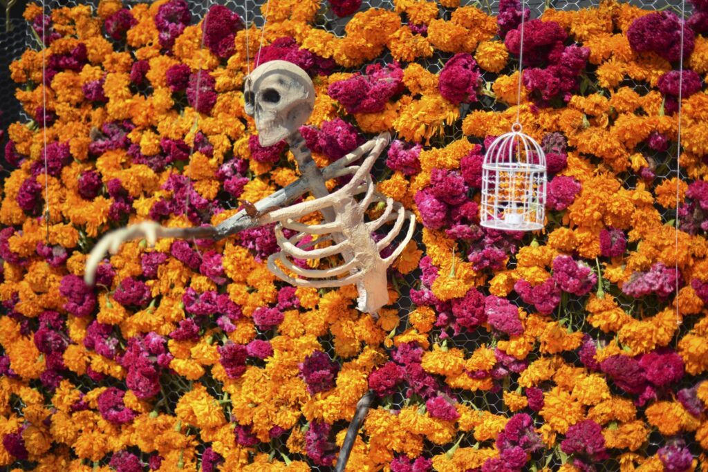 Megaofrenda de la UNAM 2026