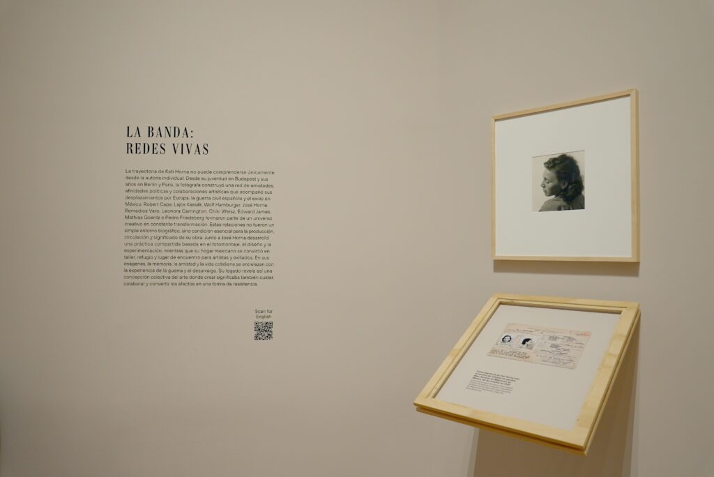 exposición en el Museo del Palacio de Bellas Artes