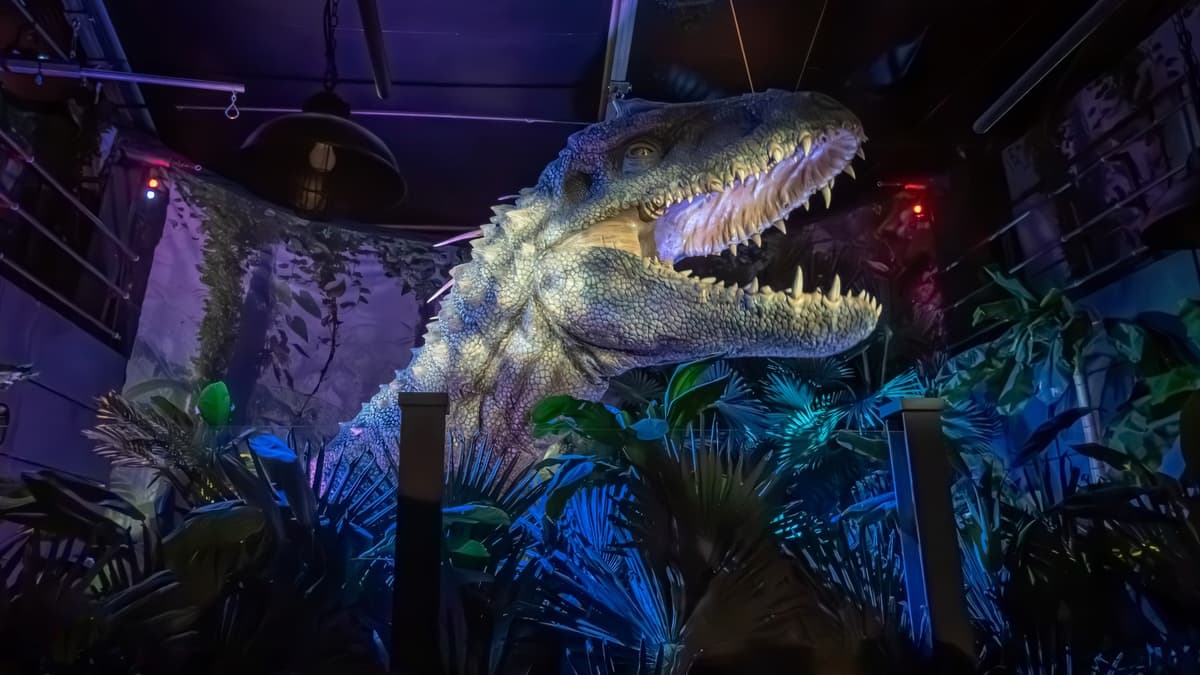 Sweat à col rond 'Jurassic World' - Vert - Garçon - 10.50