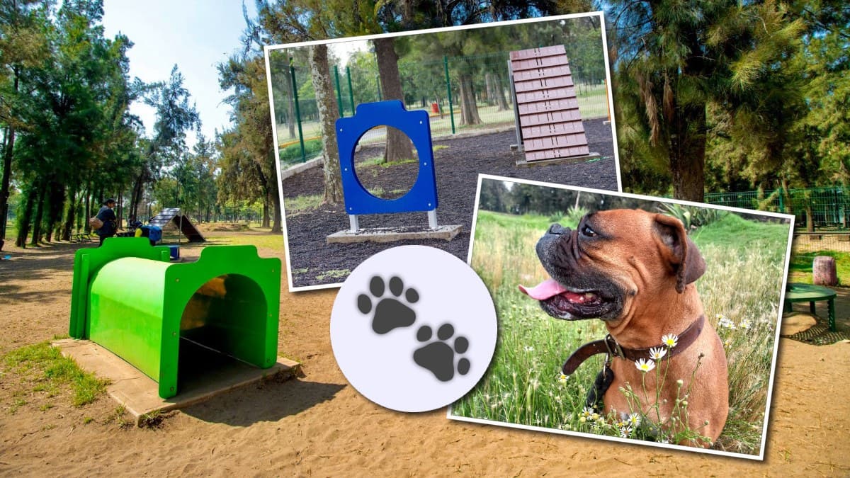 Chilango Bosque de Aragón horario del parque para perros y reglamento