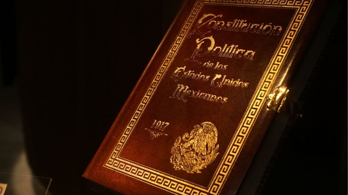 MUCO ACTIVITIES NOT TO MISS IN CONSTITUTION MONTH