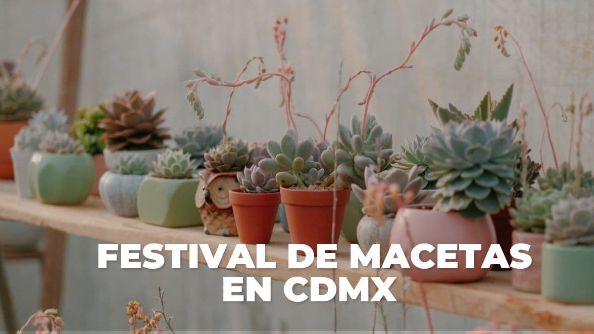 Festival de Macetas 2026
