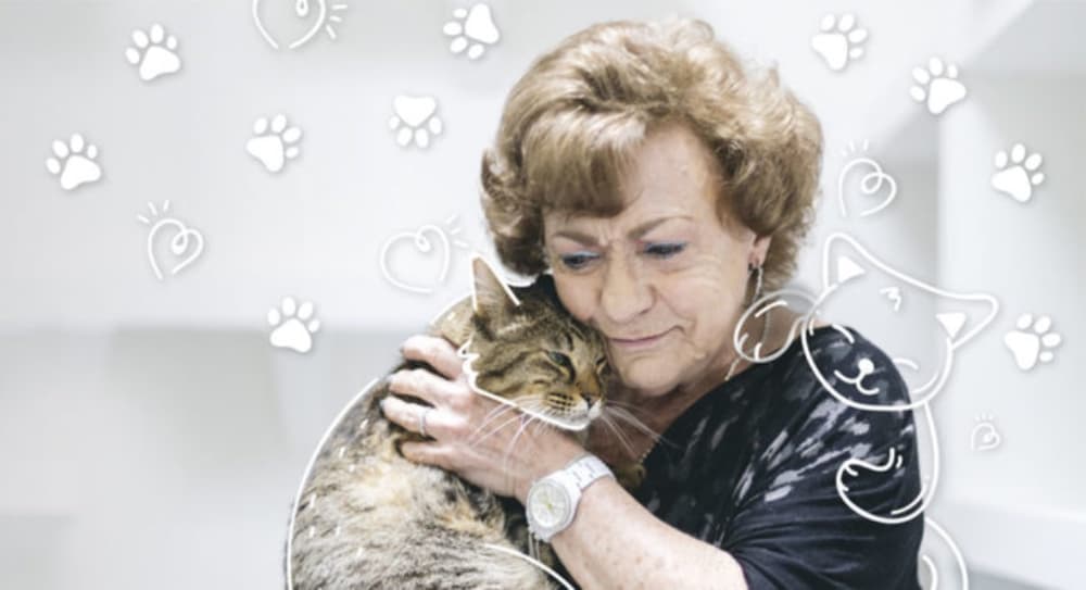 gatilandia