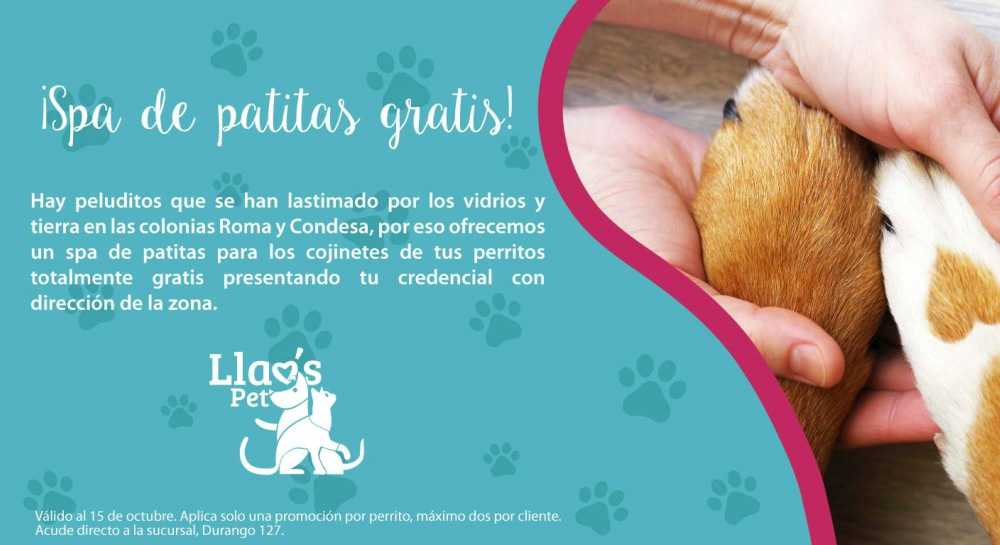 spa gratuito para perros