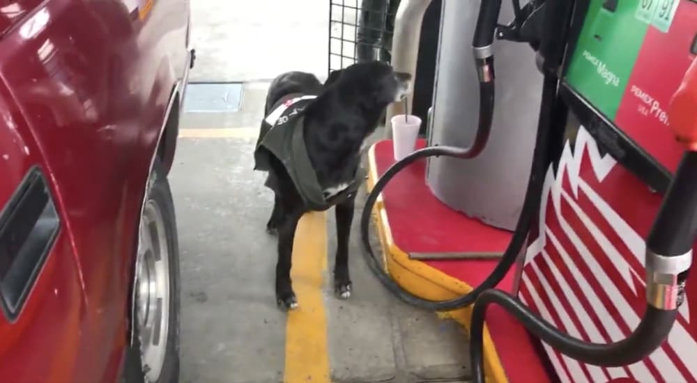 gasolinera de Ixtapaluca