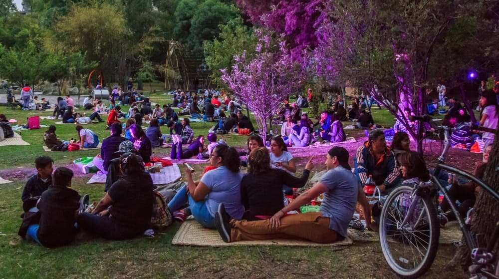 picnic nocturno de junio 2019