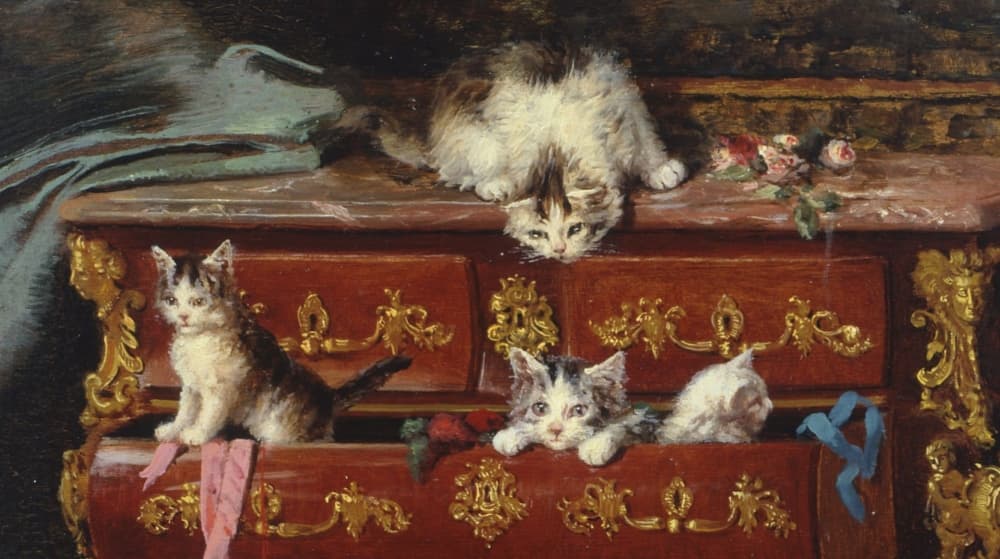 museo de los gatos ámsterdam