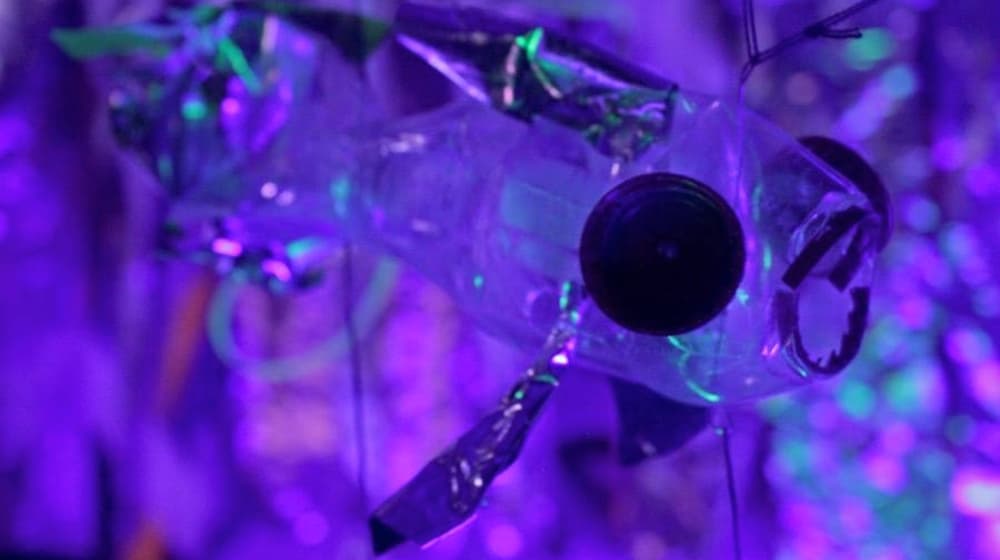 exposición submarina con basura