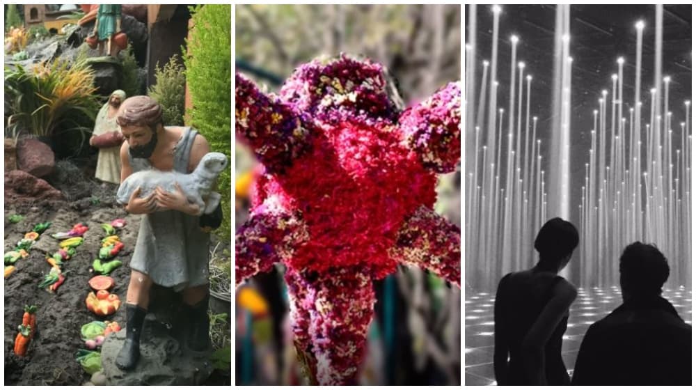 actividades gratis del 10 al 16 de diciembre