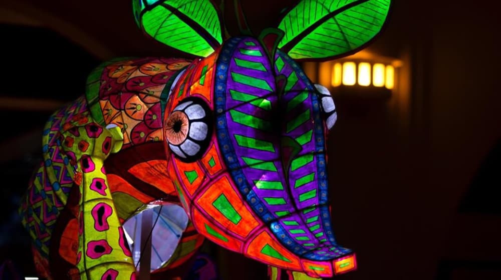alebrijes iluminados en mayo