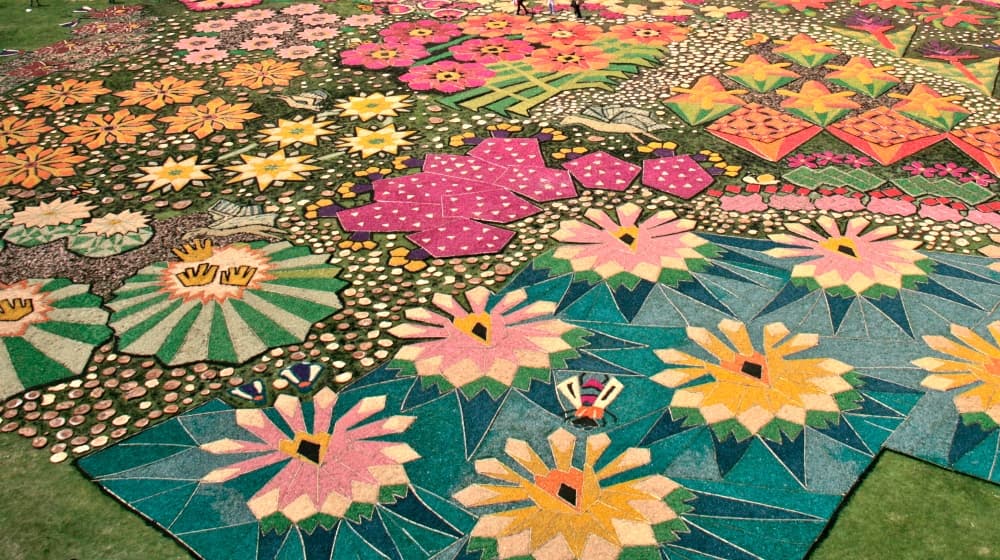 feria de las flores 2019 en xochitla