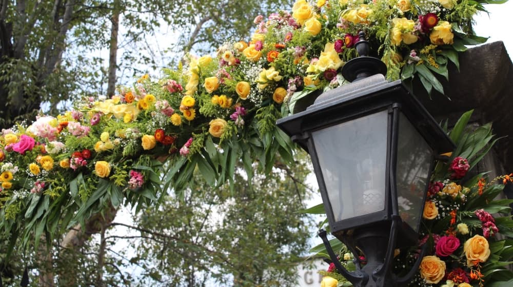 feria de las flores en san ángel 2019