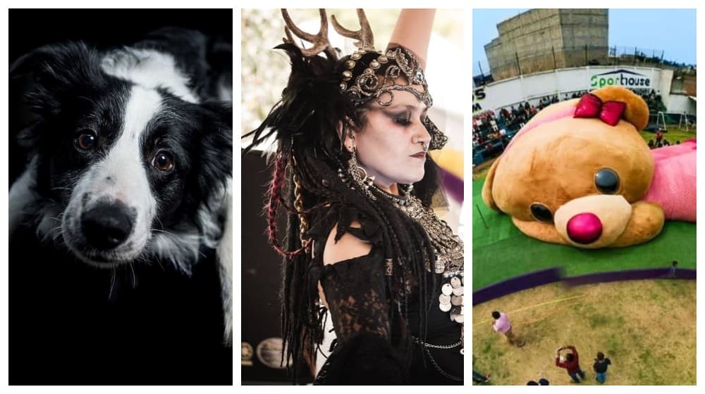 actividades gratis del 12 al 18 de agosto