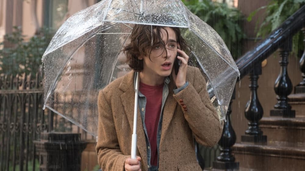 un día lluvioso en nueva york