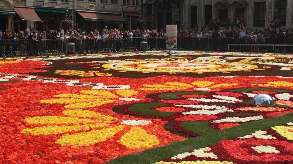 alfombra monumental en el zócalo