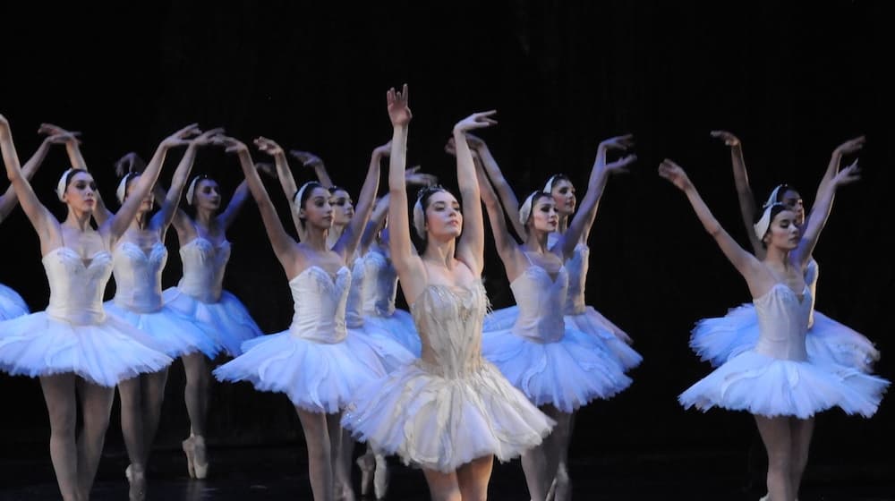 ballet en bellas artes streaming