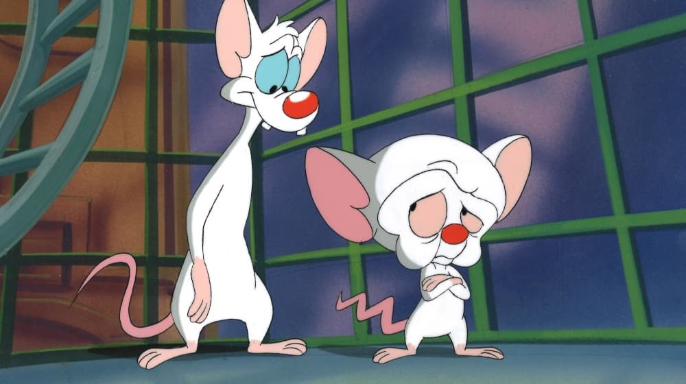 mejores momentos de Pinky y cerebro