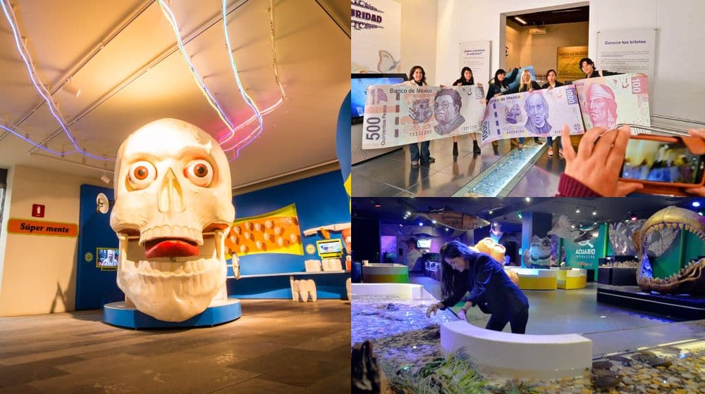 museos interactivos en la nueva normalidad