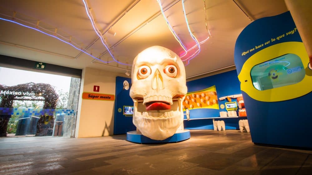 reapertura del papalote museo del niño