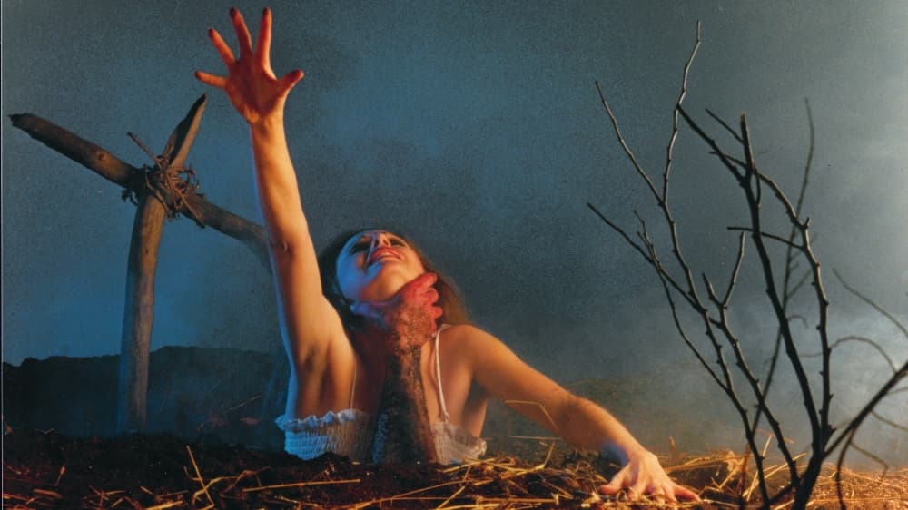 noctambulante en los dinamos