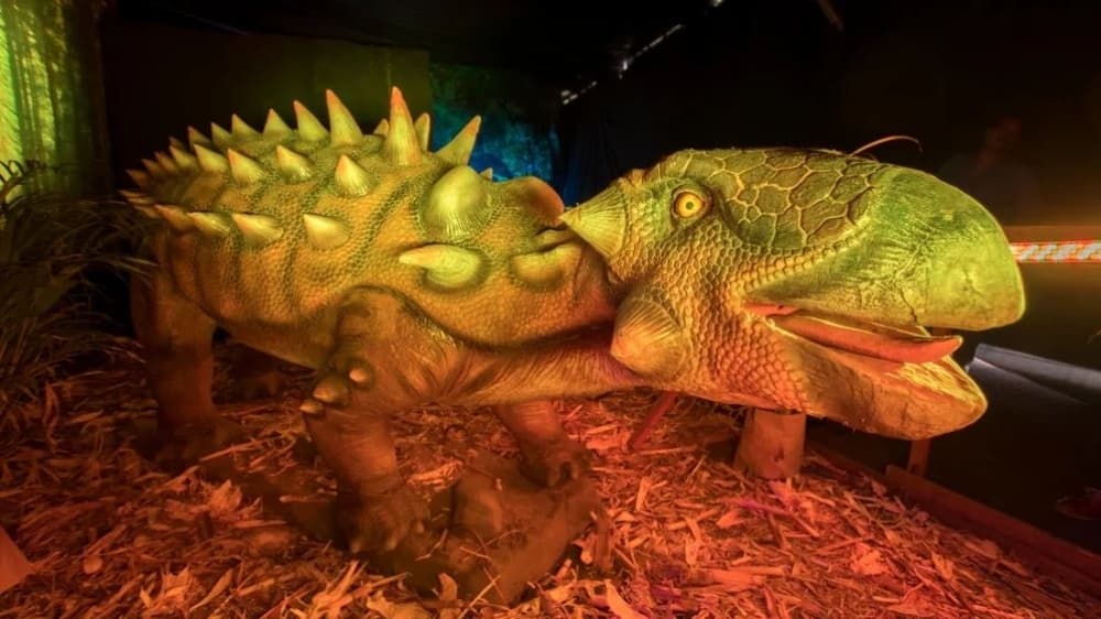 verano en el papalote