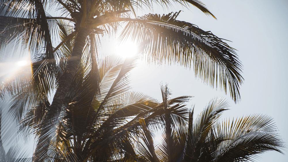 playas abiertas en México