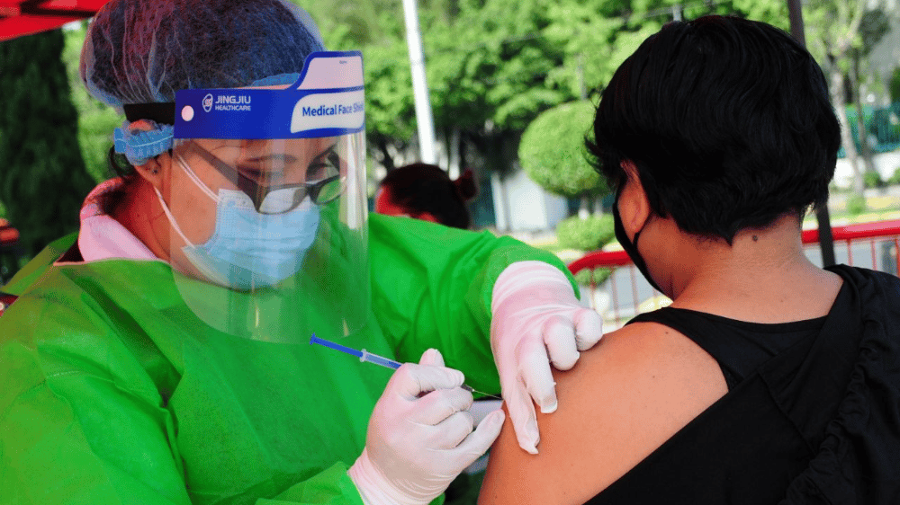 vacunas contra la influenza robadas