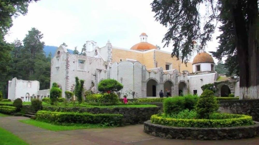 ¿Qué está pasando? ¿Hay o no un tigre en el Desierto de los Leones?