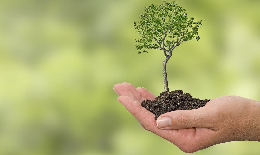 cómo medir la huella de carbono