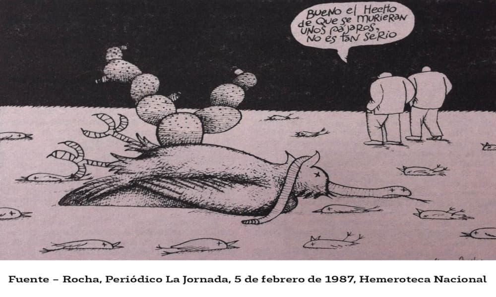 pájaros muertos en la CDMX
