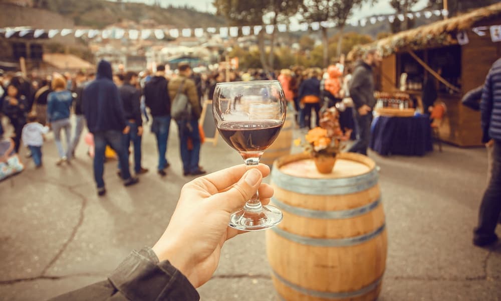 NACIÓN DE VINOS 2019