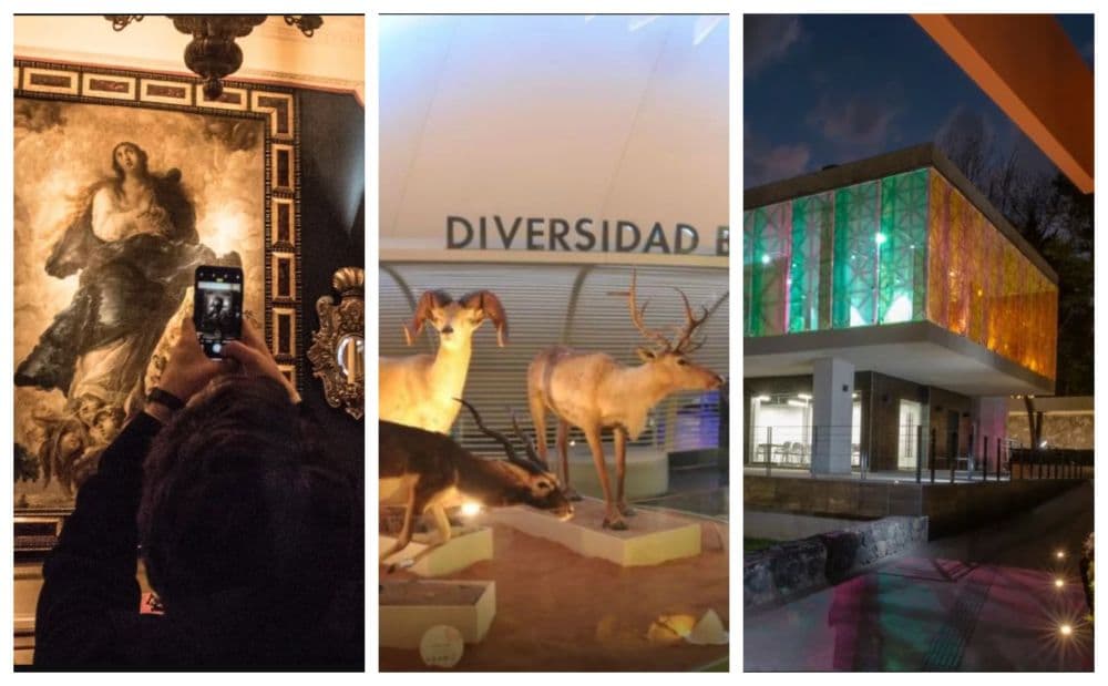 Espacios culturales que abrieron en 2018