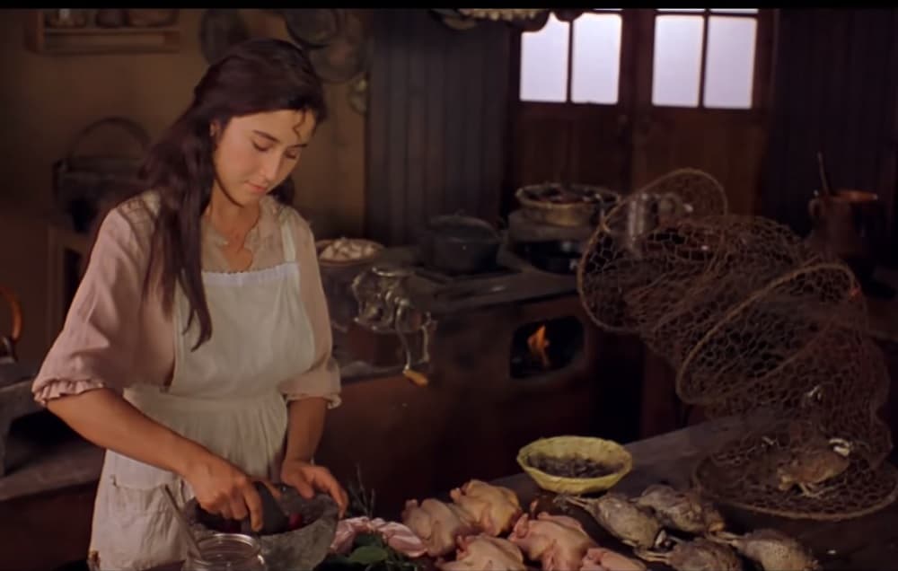 ¡Habrá serie de Como agua para chocolate!